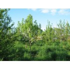 Товары с Родового поместья Товары с Родового поместья